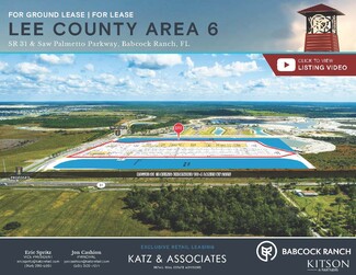 Plus de détails pour SR 31 & Palmetto Pky, Babcock Ranch, FL - Vente au détail à louer