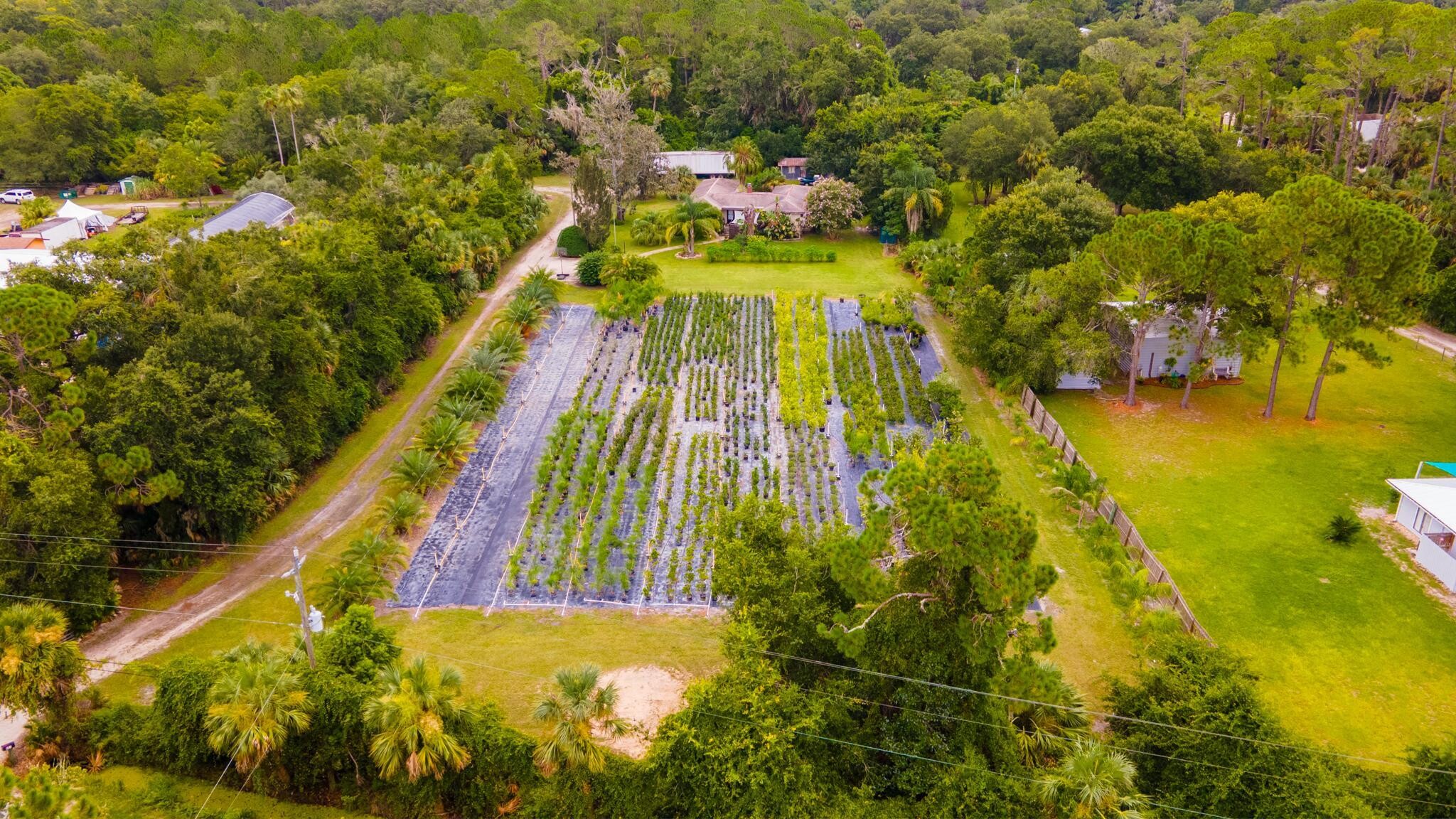 651 Ingham Rd, New Smyrna Beach, FL for sale Primary Photo- Image 1 of 7