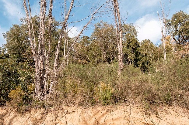 Land in Riudarenes, Gerona for sale Primary Photo- Image 1 of 7