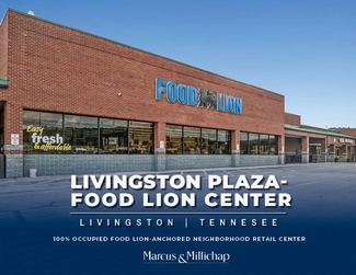 Plus de détails pour 400 Market Square Plz, Livingston, TN - Commerce de détail à vendre