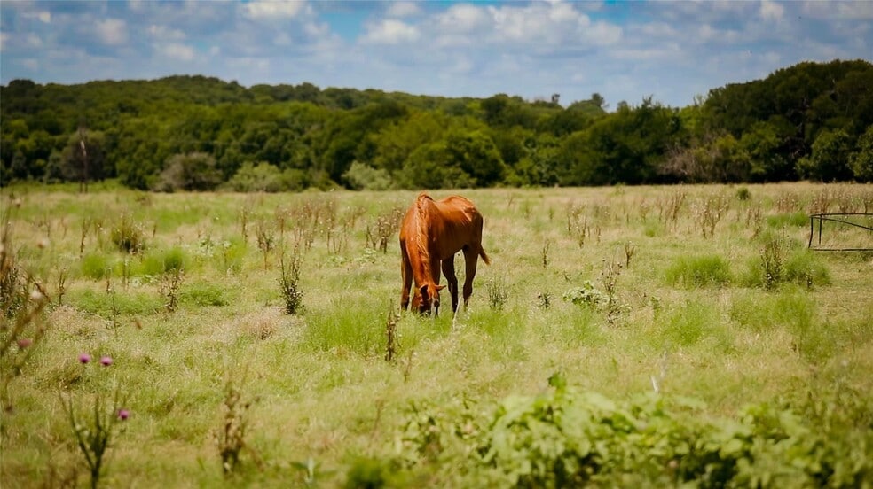 5158 FM 308, Milford, TX for sale - Building Photo - Image 3 of 10