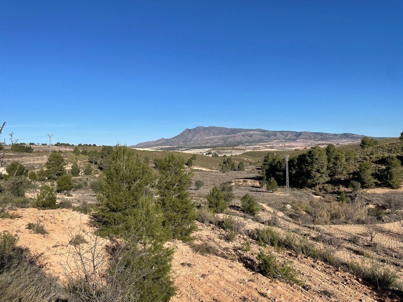 Terrain dans Jumilla, Murcia à vendre - Aérien - Image 1 de 11