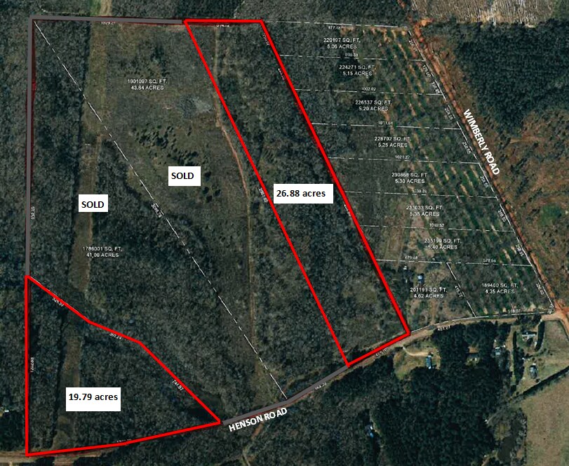 Henson Road, Hawkinsville, GA à vendre Aérien- Image 1 de 2