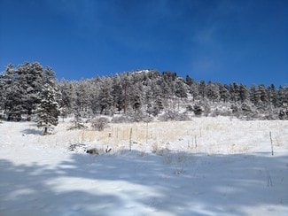 More details for 62430 US Highway 285, Bailey, CO - Land for Sale