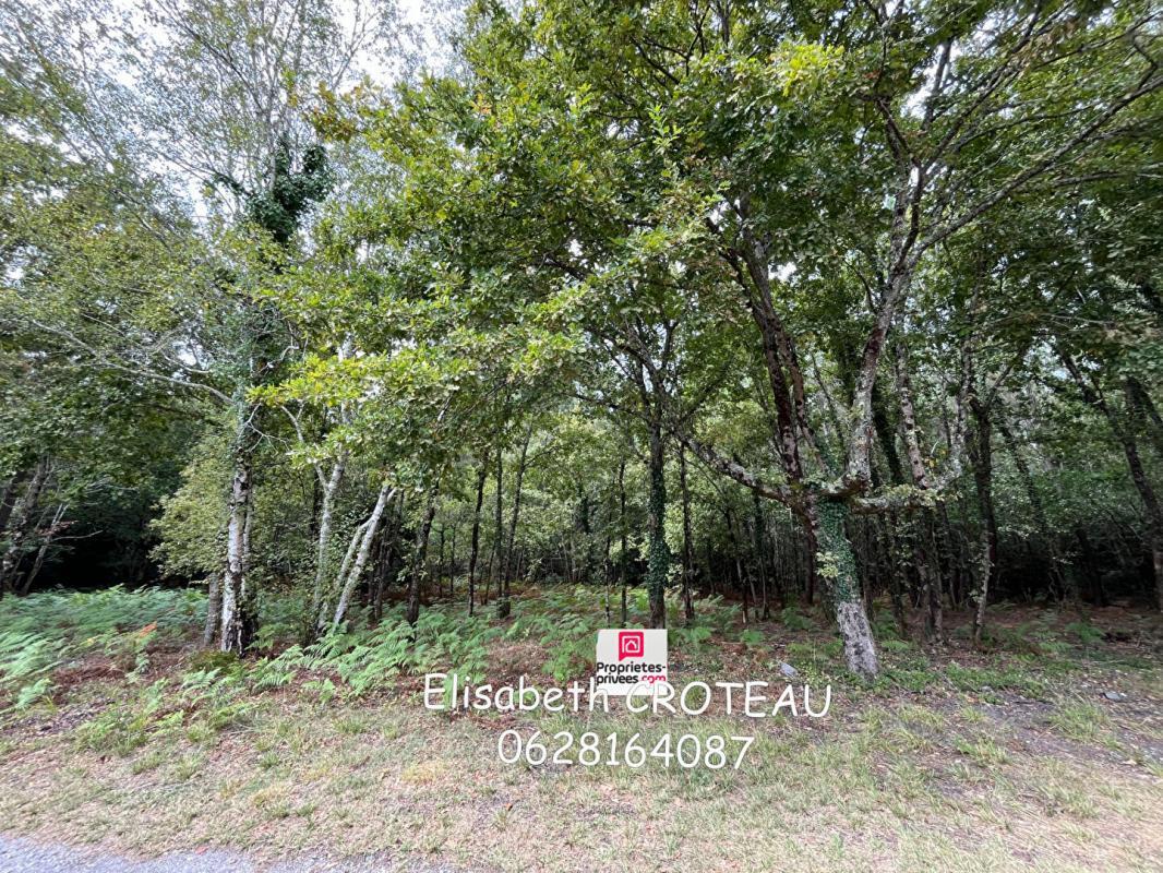 Land in Sanguinet for sale Building Photo- Image 1 of 5