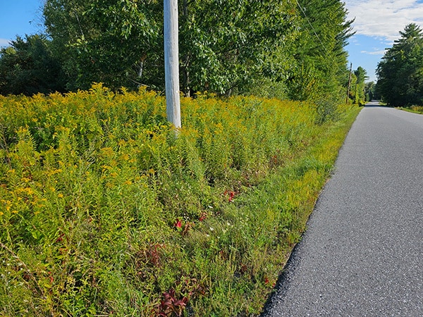 0 Racine Rd, Milton, VT à vendre - Photo du bâtiment - Image 3 de 5