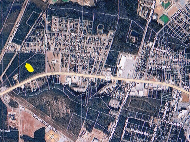 86-34 INC U. S. Highway 84, Jesup, GA à vendre - Photo du bâtiment - Image 3 de 5