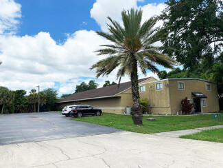 Plus de détails pour 110 Pine Ave, Oldsmar, FL - Vente au détail à vendre