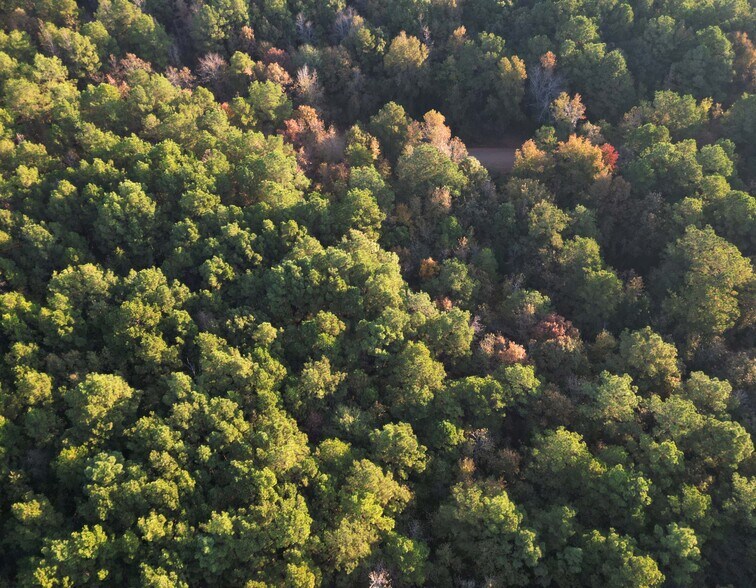 TBD Miller County 32, Doddridge, AR à vendre - Photo du bâtiment - Image 3 de 12