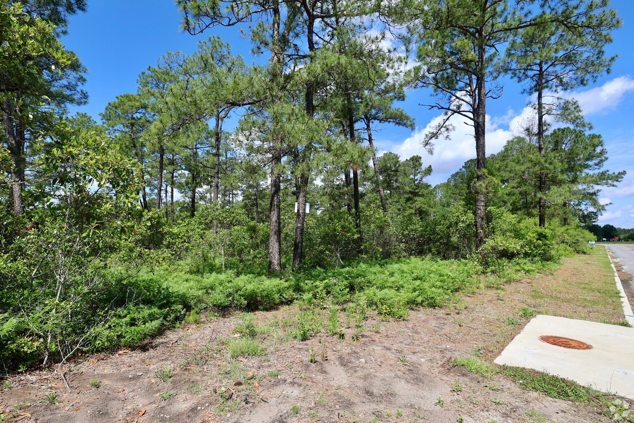 Myrtle Ridge Rd, Conway, SC à vendre Photo du bâtiment- Image 1 de 11