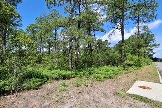 Plus de détails pour Myrtle Ridge Rd, Conway, SC - Terrain à vendre