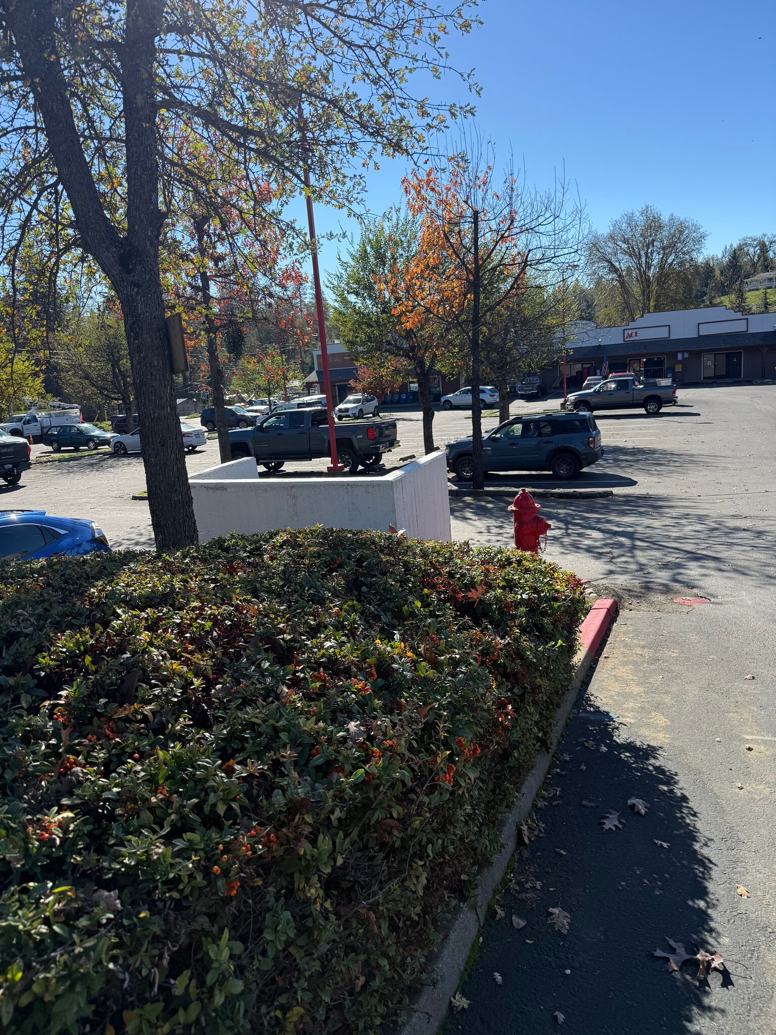 4570 Pleasant Valley Rd, Placerville, CA à louer Photo du bâtiment- Image 1 de 1