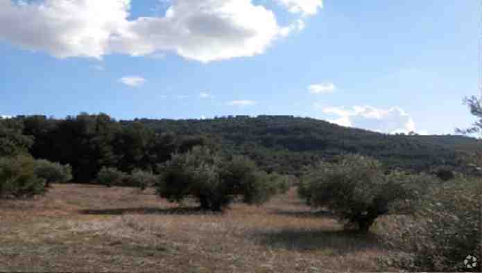Terrain dans Chiloeches, Guadalajara à vendre - Photo du bâtiment - Image 2 de 3