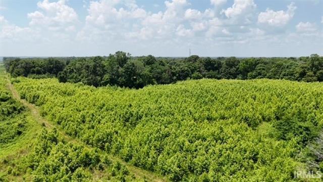 Co 150 N rd, Hazleton, IN à vendre Photo principale- Image 1 de 6