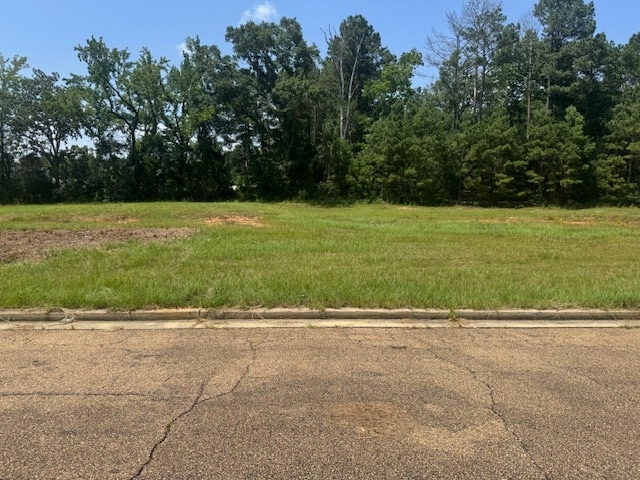 Parklane Rd, Mccomb, MS for sale - Building Photo - Image 3 of 5