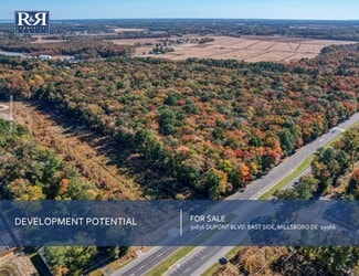 Plus de détails pour E Side of Rte 113 30836 DuPont Hwy, Dagsboro, DE - Terrain à vendre