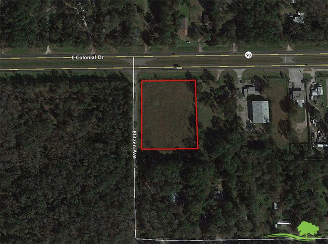Plus de détails pour 24502 E Colonial Dr, Christmas, FL - Terrain à vendre