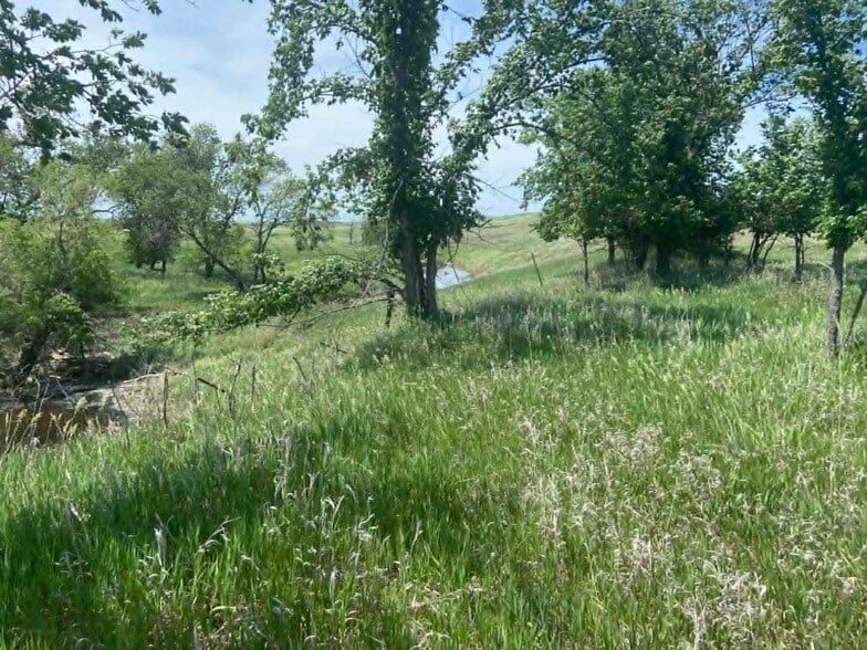 29392 239th St, Vivian, SD à vendre - Photo du bâtiment - Image 3 de 13