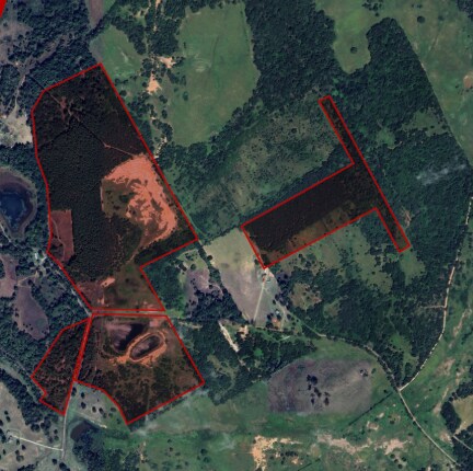 Plus de détails pour 250 County Road 296 & 120 FCR 298, Oakwood, TX - Terrain à vendre