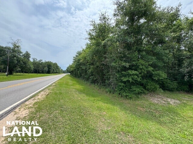 0 Dead Lake Rd., Creola, AL for sale - Other - Image 2 of 15