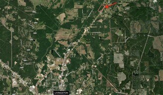Plus de détails pour N US Highway 59, Livingston, TX - Terrain à vendre