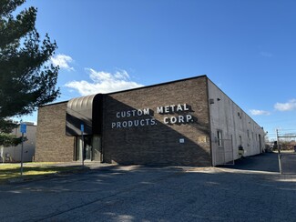 Plus de détails pour 12283 Levan Rd, Livonia, MI - Industriel à vendre