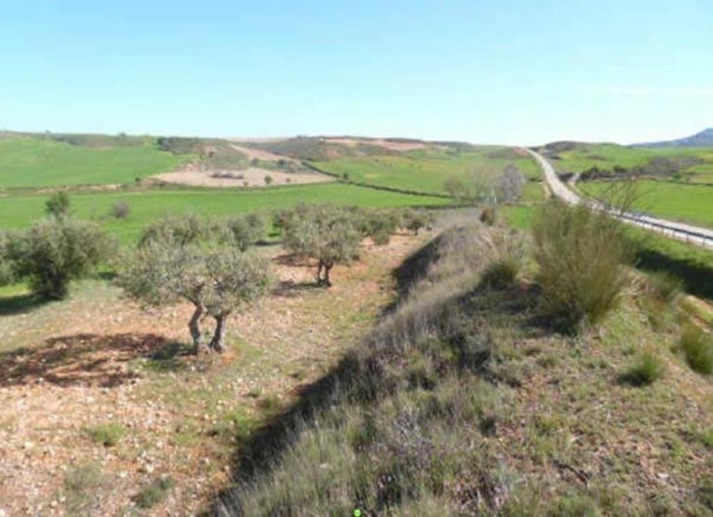 Land in Tórtola de Henares, Guadalajara for sale Building Photo- Image 1 of 7