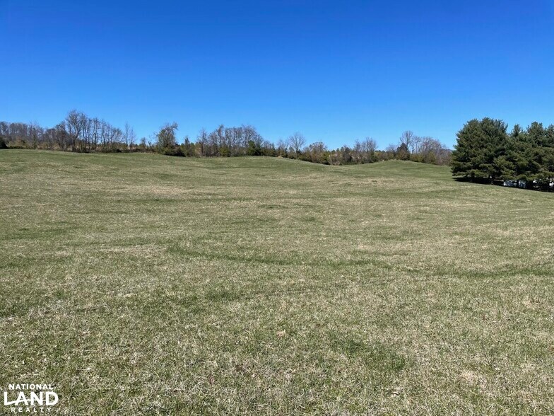 11845 Kingsport Hwy, Chuckey, TN for sale - Primary Photo - Image 1 of 2