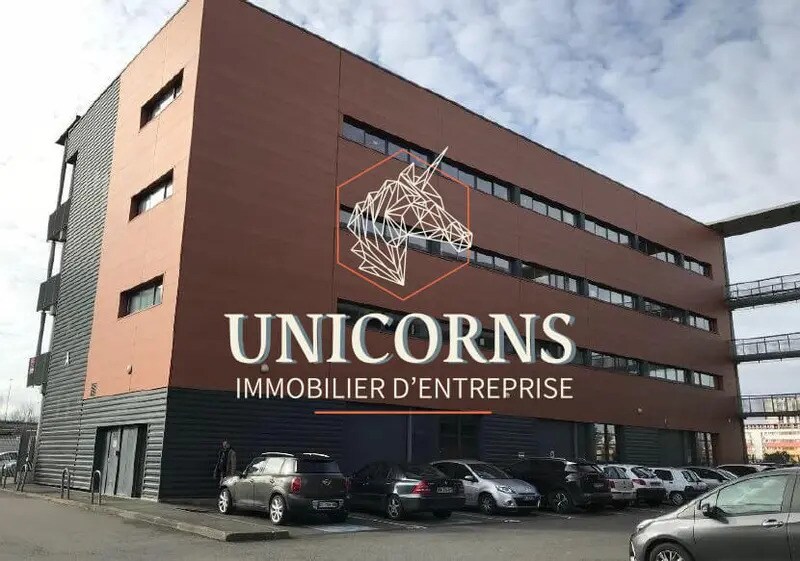 9 Rue Louis Courtois De Viçose, Toulouse à louer - Photo du bâtiment - Image 3 de 7