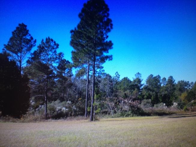 3821 Ga 112 Hwy, Ashburn, GA for sale Primary Photo- Image 1 of 25