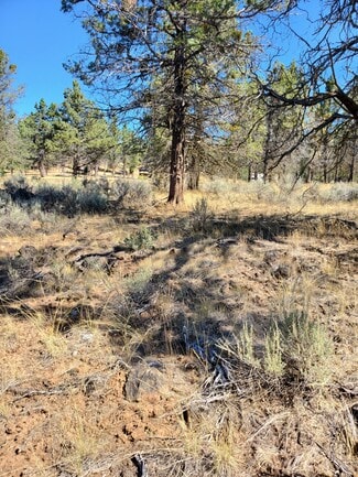 Plus de détails pour 5779 Engleman Spruce Way, Klamath Falls, OR - Terrain à vendre