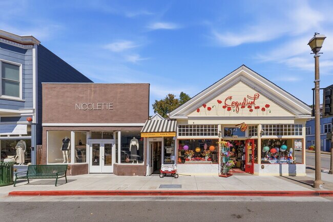 Plus de détails pour 499-503 Magnolia Ave, Larkspur, CA - Commerce de détail à vendre