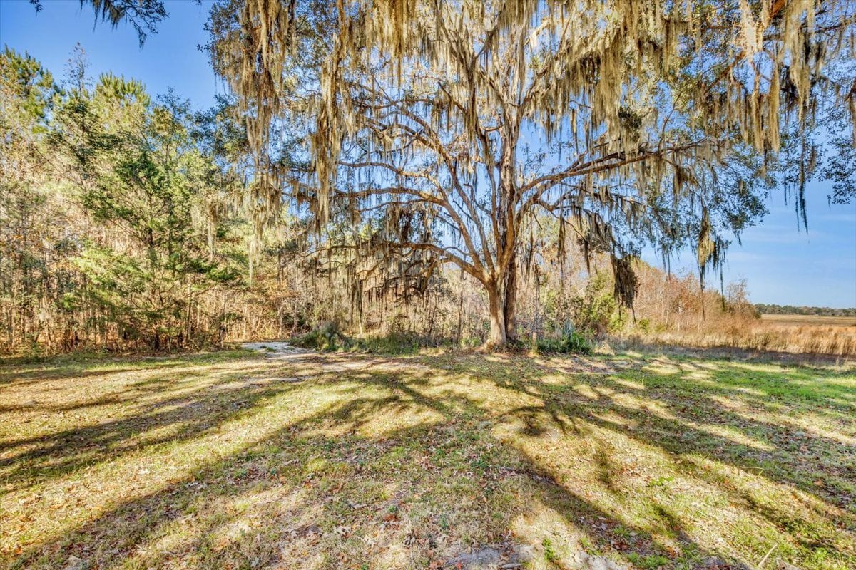 580 Old Gress Island Rd, Midway, GA for sale Primary Photo- Image 1 of 12