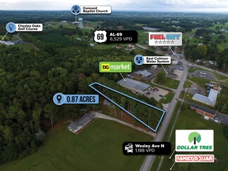 Plus de détails pour adj. to 120 Wesley Avenue North, Cullman, AL - Terrain à vendre