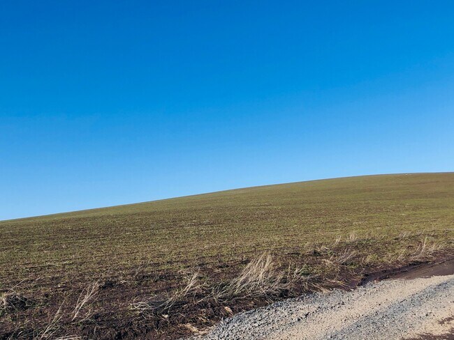 More details for 122 Sand Buckler Dr, Pullman, WA - Land for Sale