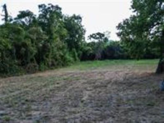 200 Woodson st, Willis, TX à vendre - Photo du bâtiment - Image 3 de 6