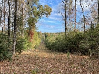 More details for 1775 Brown Rd, Hephzibah, GA - Land for Sale