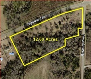 Highway 230, Unadilla, GA à vendre - Photo principale - Image 2 de 2