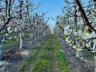 Plus de détails pour TBD Terril Road, Kennewick, WA - Terrain à vendre