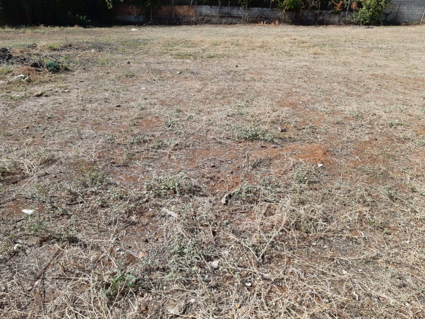 Land in Córdoba, Córdoba for sale Site Plan- Image 1 of 7