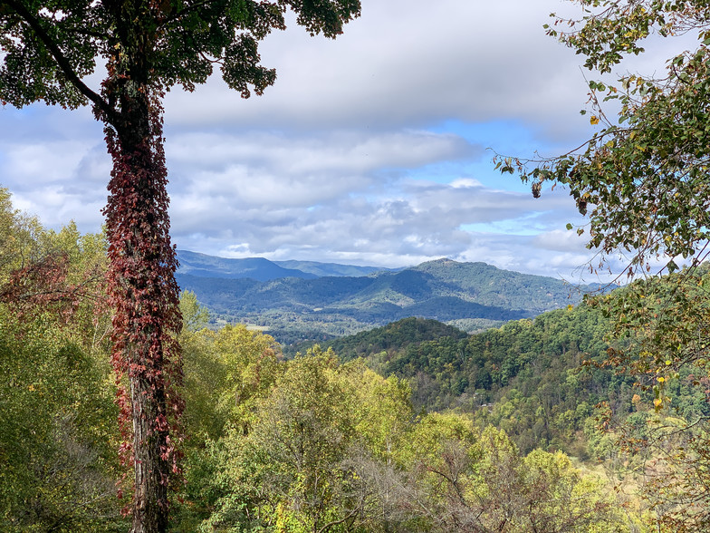 99999 Estate Dr, Waynesville, NC à vendre - Photo du bâtiment - Image 3 de 39