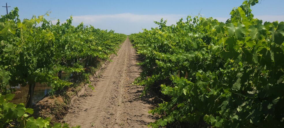 7715 Road 23 1/2, Madera, CA for sale - Primary Photo - Image 1 of 7