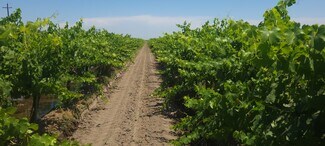 More details for 7715 Road 23 1/2, Madera, CA - Land for Sale