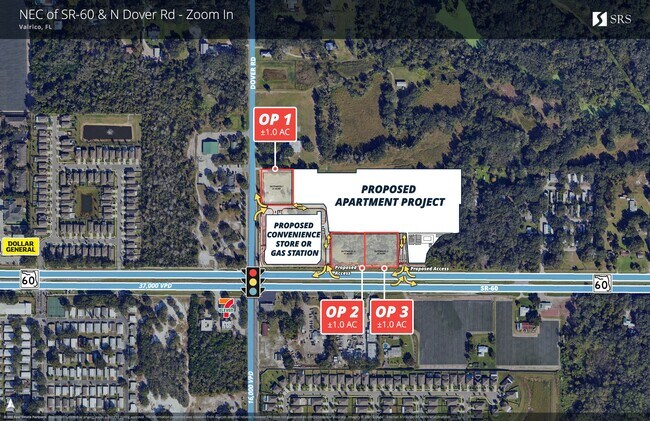 Plus de détails pour NEC of SR-60 & N. Dover Rd, Dover, FL - Terrain à louer