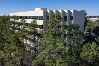 More details for 2002 Timberloch Pl, The Woodlands, TX - Office for Lease