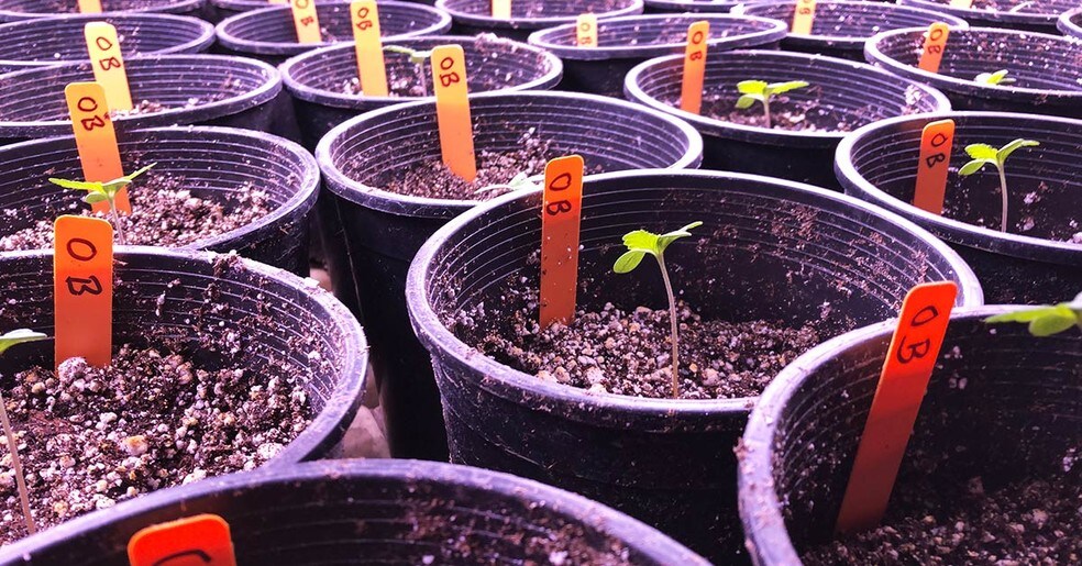 20000 Hulbert Rd, Yorkville, CA à louer - Photo de construction - Image 3 de 4