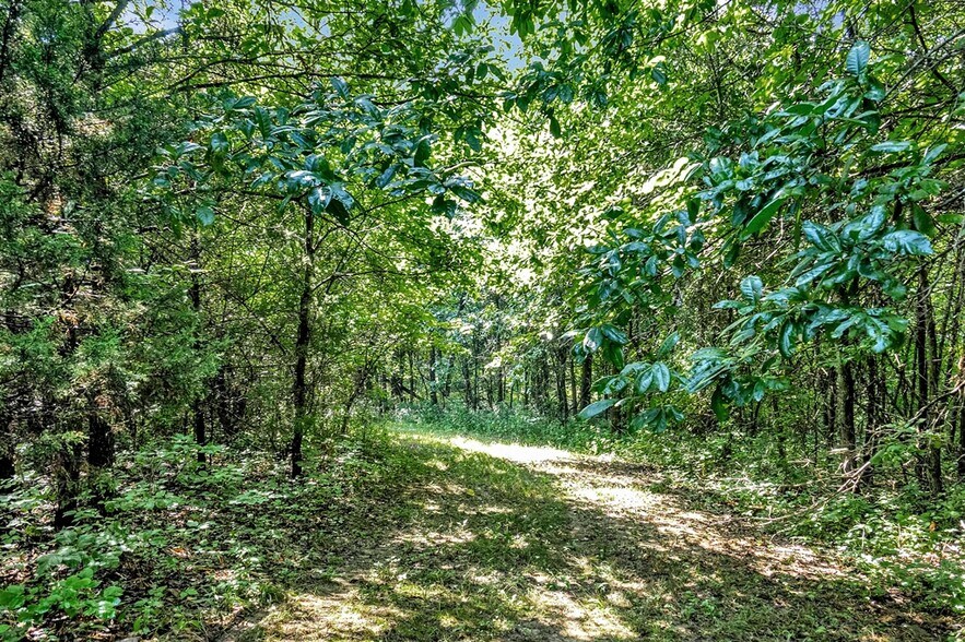 Cave Farm Rd. (34.5+/- Acres), Troy, MO for sale - Building Photo - Image 2 of 40