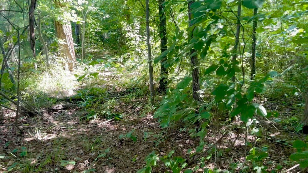 1000 Hopson Road Ext, Durham, NC à vendre - Vidéo sur l’inscription commerciale - Image 2 de 15