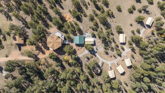 More details for 247 Pinewood Rd, Florissant, CO - Specialty for Sale