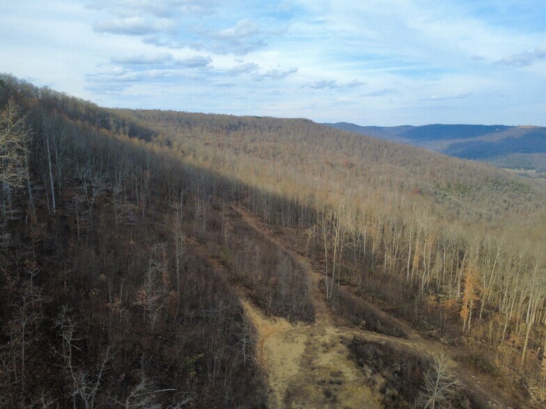 126 Bolton Point Rd, South Pittsburg, TN à vendre - Photo du bâtiment - Image 2 de 16